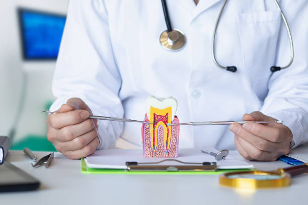 Best Pediatric Emergency Dentist in Marion, WI